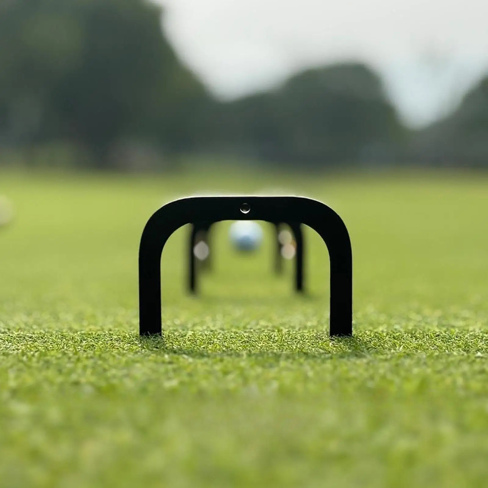 3Pcs Golf Putting Gates Training Aid Metal Portable 60/70/80mm Putt Gates Putter Goal Precision Practice Supplies with Bases
3Pcs Golf Putting Gates Training Aid Metal Portable 60/70/80mm Putt Gates Putter Goal Precision Practice Supplies with Bases