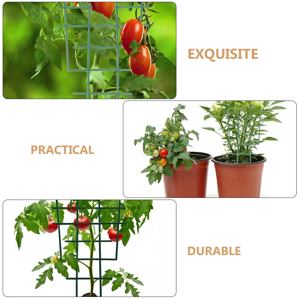 8Pcs Garden Plant Stands Strong Reusable Climbing Plants Support Rack Simple Design Soil Insert Flower Support Frame Gardening
8Pcs Garden Plant Stands Strong Reusable Climbing Plants Support Rack Simple Design Soil Insert Flower Support Frame Gardening