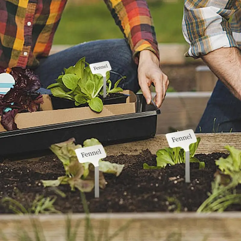 Labels For Plants Garden Seedling Tags 10 Pieces Weatherproof Plant Labels For Flowers Vegetables Houseplants Seedlings 
Labels For Plants Garden Seedling Tags 10 Pieces Weatherproof Plant Labels For Flowers Vegetables Houseplants Seedlings