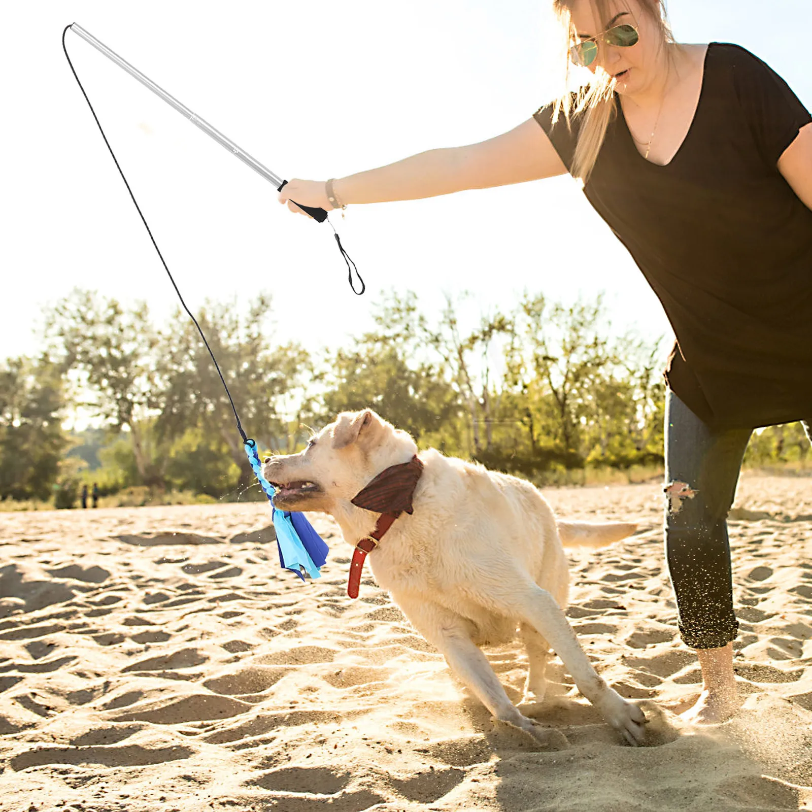 Tease Dog Stick Puppy Rubber Flame Retardant Nylon Rope Retractable Stimulating Toys
Tease Dog Stick Puppy Rubber Flame Retardant Nylon Rope Retractable Stimulating Toys