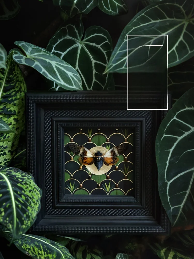 Seeds of Wonder Cicada Awakening Plant Specimen Art Decorative Painting Museum Sle Retro High-End Feeling aduation Gift
Seeds of Wonder Cicada Awakening Plant Specimen Art Decorative Painting Museum Sle Retro High-End Feeling aduation Gift