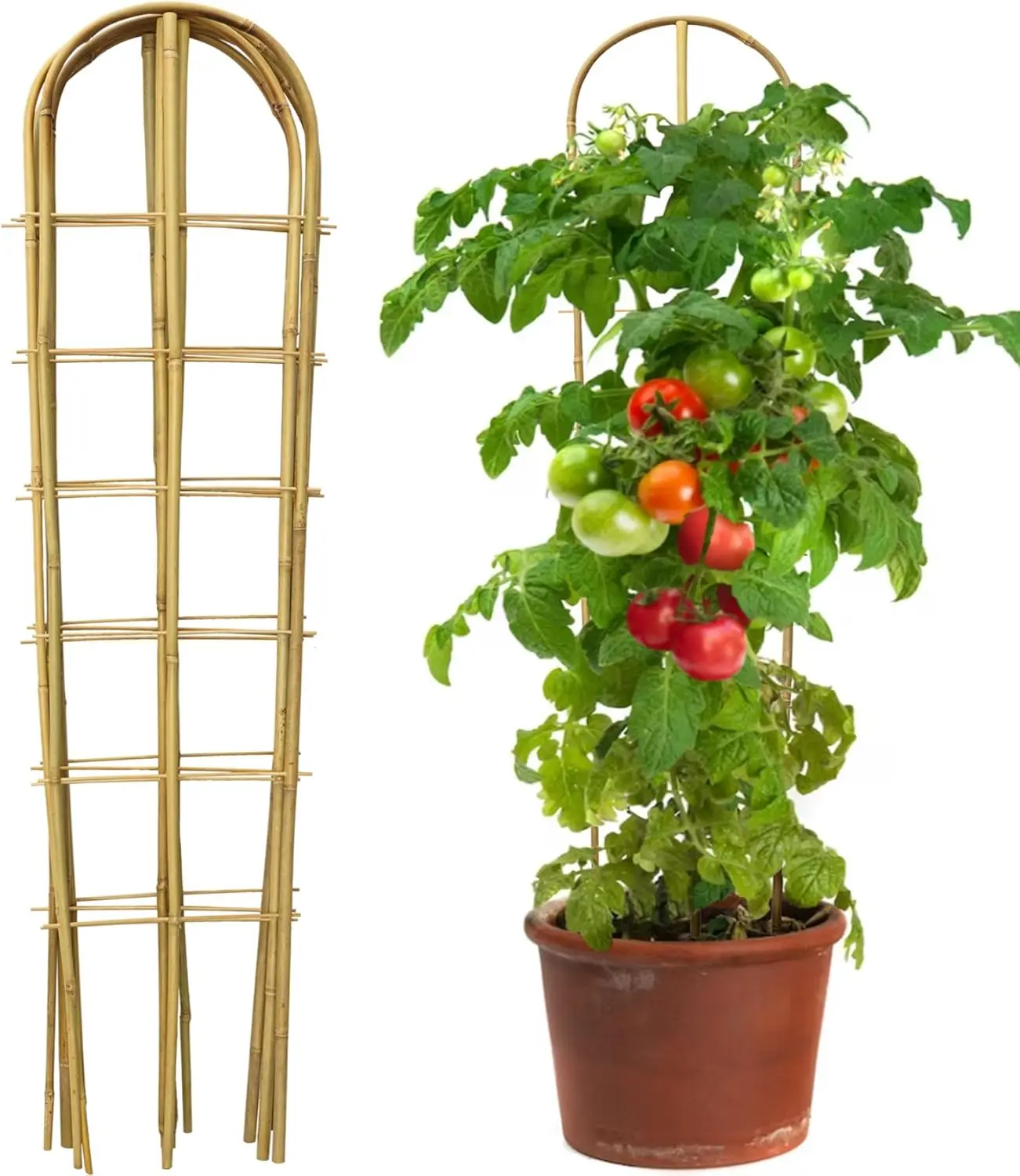 Набор из 5 натуральных бамбуковых опор для вьющихся растений, овощей, томатов, огурцов - для использования в помещении и на улице
Набор из 5 натуральных бамбуковых опор для вьющихся растений, овощей, томатов, огурцов - для использования в помещении и на улице