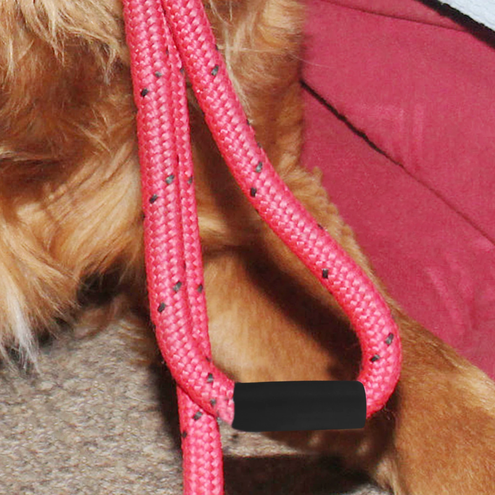 5pcs Dog Sponge Handle Pet Leash Comfortable Non-Slip Durable Protective Leash Accessories For Dog Walking
5pcs Dog Sponge Handle Pet Leash Comfortable Non-Slip Durable Protective Leash Accessories For Dog Walking