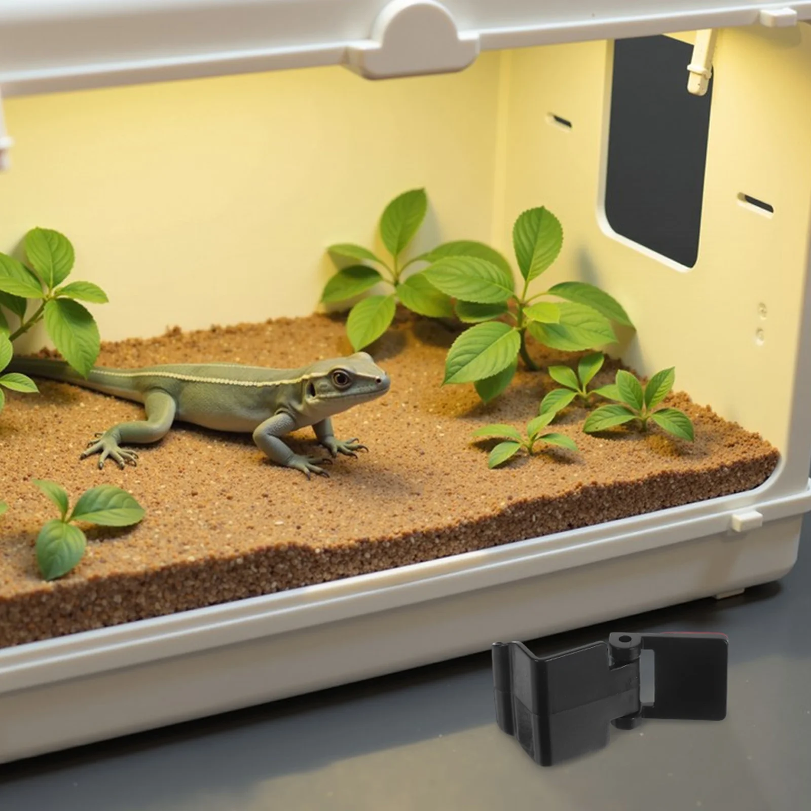 6Pcs Terrarium Lock Lid Clips ABS Material Anti-Escape Reptile Turtle Tank Locks Secure Aquarium Lid Clamps Reptile Take Locks
6Pcs Terrarium Lock Lid Clips ABS Material Anti-Escape Reptile Turtle Tank Locks Secure Aquarium Lid Clamps Reptile Take Locks