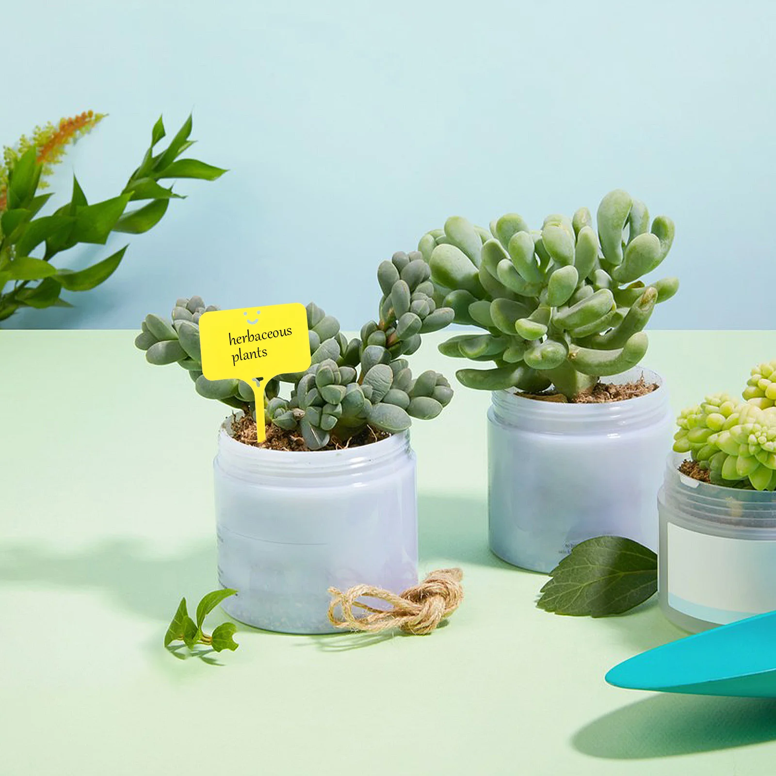 100Pcs Plant Marker Stakes Colorful Durable Plastic T-Type Garden Tags Outdoor Nursery Labels Garden Stakes Plant Name Tags
100Pcs Plant Marker Stakes Colorful Durable Plastic T-Type Garden Tags Outdoor Nursery Labels Garden Stakes Plant Name Tags