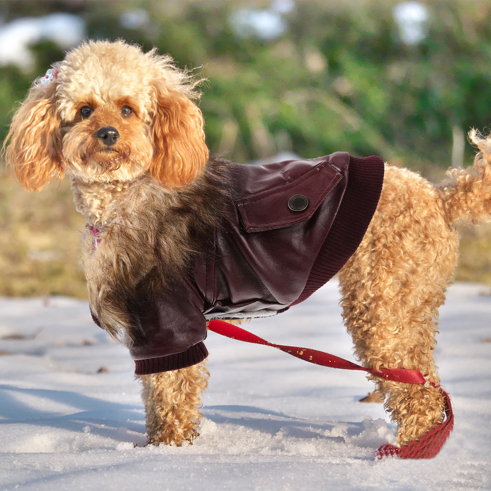 Warm Dog Jacket Pet Clothes Winter Outfit Red Stylish Puppy Costume Comfortable Apparel Warmth Windproof Dog's Fashionable
Warm Dog Jacket Pet Clothes Winter Outfit Red Stylish Puppy Costume Comfortable Apparel Warmth Windproof Dog's Fashionable