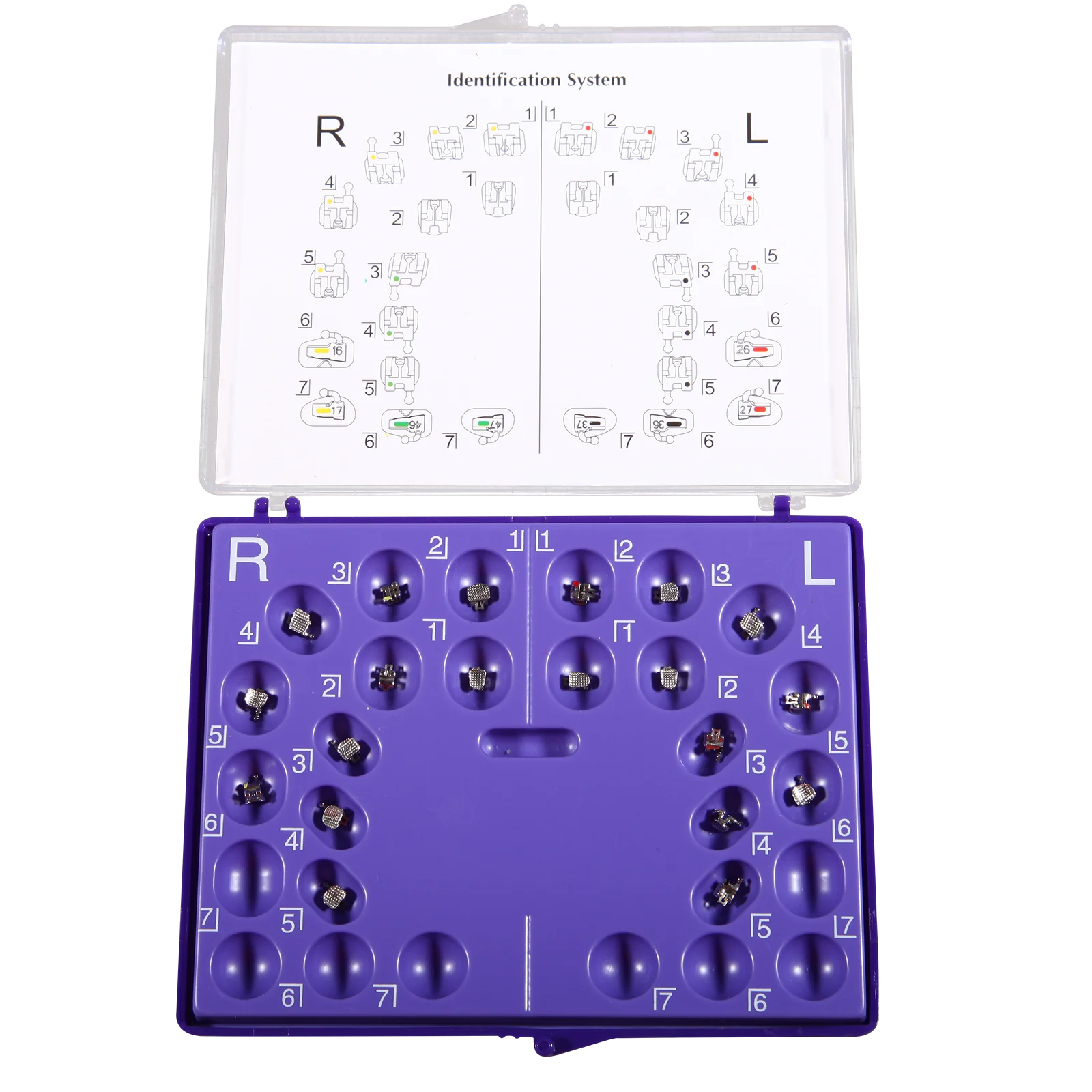 den tal Orthodontic Self-ligating Metal Brackets Braces Roth 022" 345 Hooks
den tal Orthodontic Self-ligating Metal Brackets Braces Roth 022" 345 Hooks