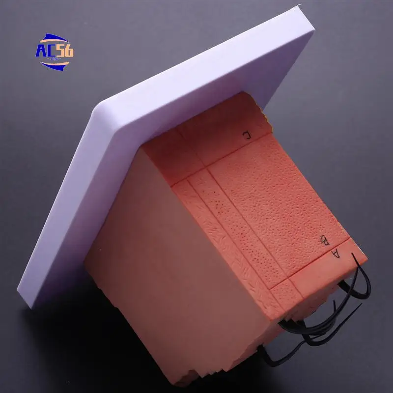 AC56-Skin Model,Skin And Hair Structure Enlarge Model Anatomical Model Anatomy For Science Classroom Study Display Teaching Mode
AC56-Skin Model,Skin And Hair Structure Enlarge Model Anatomical Model Anatomy For Science Classroom Study Display Teaching Mode