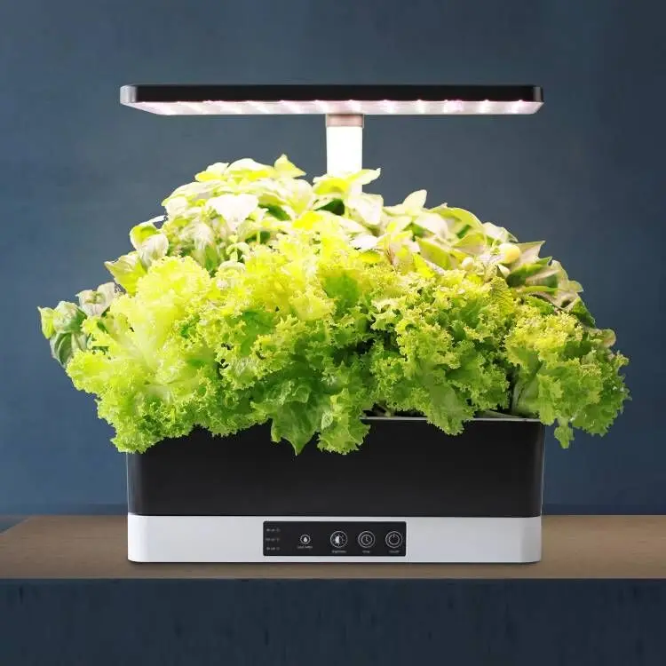 J&C Indoor Hydroponic Herb Garden Hydroponics Dropship Hydroponics System Indoor Garden
J&C Indoor Hydroponic Herb Garden Hydroponics Dropship Hydroponics System Indoor Garden