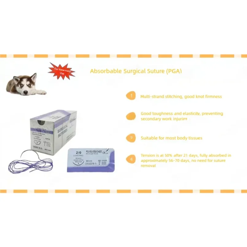 Veterinary absorbable suture, polyglycolic suture 3-0 (0/2-0/3-0/4-0 medical suture) (12 pcs/90cm round suture/reverse suture)
Veterinary absorbable suture, polyglycolic suture 3-0 (0/2-0/3-0/4-0 medical suture) (12 pcs/90cm round suture/reverse suture)