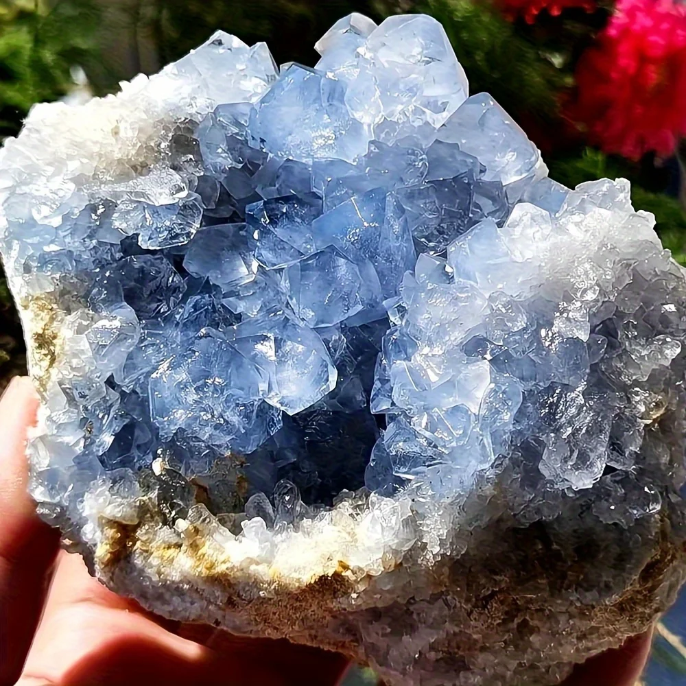 1pc Premium Blue Celestite Crystal Cluster, Ideal for Home Decor & Unique Holidays Gift, Crystal Collectors, Desk Accessory
1pc Premium Blue Celestite Crystal Cluster, Ideal for Home Decor & Unique Holidays Gift, Crystal Collectors, Desk Accessory