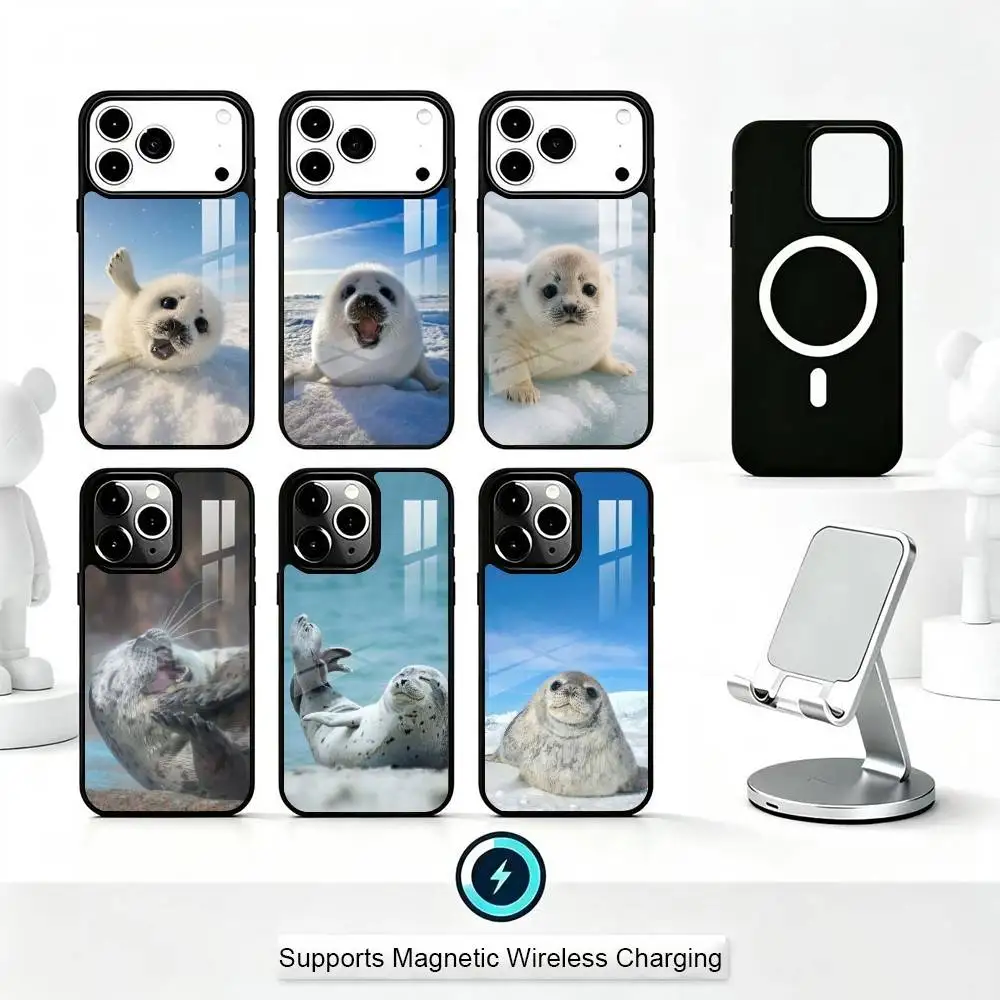 Cute and Funny Seals Phone Case For iPhone17,16,15,14,13,12,11 Plus,Pro Compatible with magnetic wireless charging
Cute and Funny Seals Phone Case For iPhone17,16,15,14,13,12,11 Plus,Pro Compatible with magnetic wireless charging