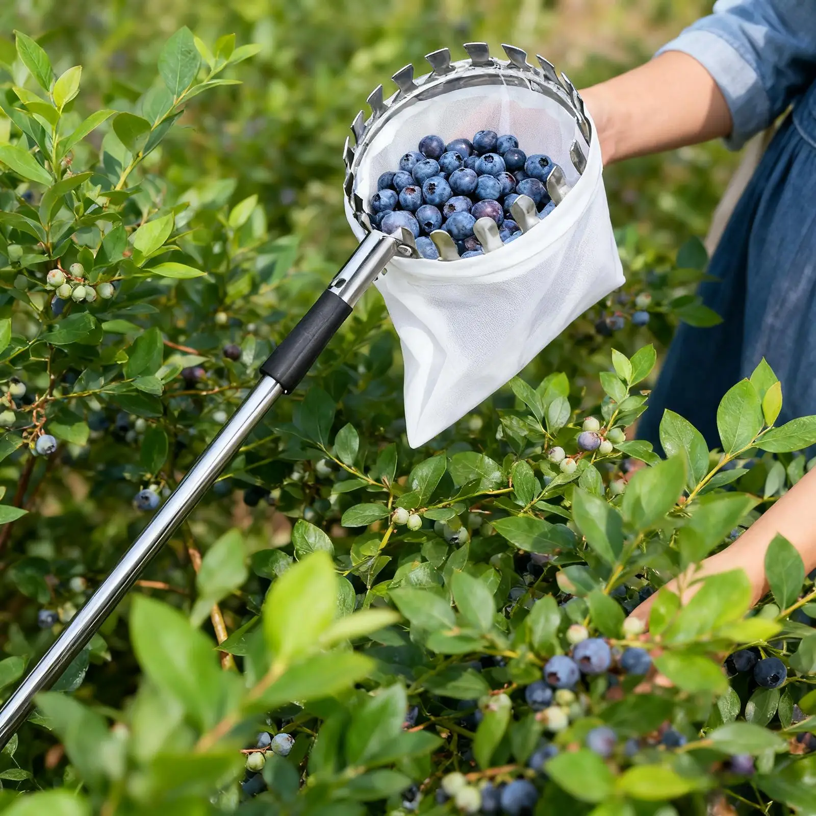 Fruit Picker with Basket Versatile Sturdy Adjustable Steel Splicing Rod Harvester for Orange Guavas Citrus Acorn Avocado
Fruit Picker with Basket Versatile Sturdy Adjustable Steel Splicing Rod Harvester for Orange Guavas Citrus Acorn Avocado