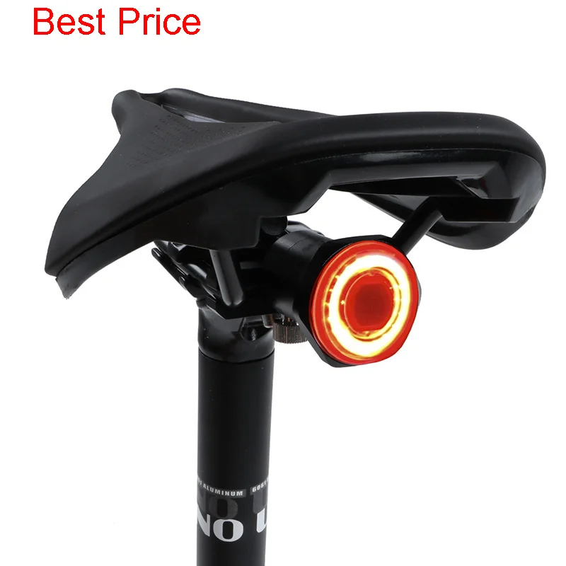 10Pcs Intelligent Brake Sensing Tail Light Highway Bike Mountain Bike Bicycle Light Usb Charging Tail Light Warning Light
10Pcs Intelligent Brake Sensing Tail Light Highway Bike Mountain Bike Bicycle Light Usb Charging Tail Light Warning Light