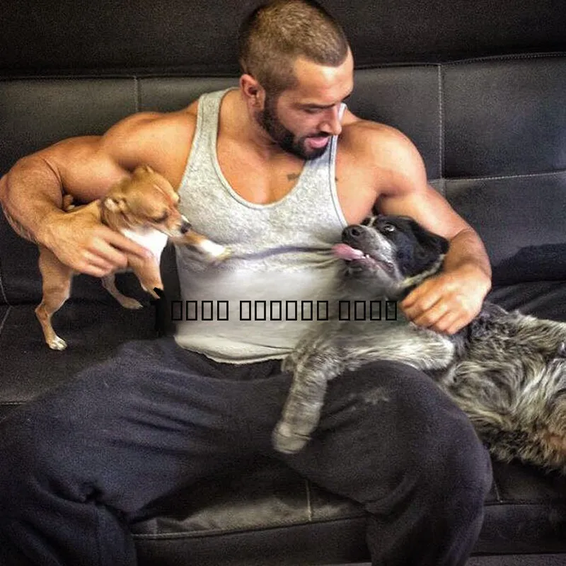 Мужская хлопковая футболка Lazare с круглым вырезом, повседневная, дышащая, влагоотводящая, модная, летняя, спортивная одежда
Мужская хлопковая футболка Lazare с круглым вырезом, повседневная, дышащая, влагоотводящая, модная, летняя, спортивная одежда