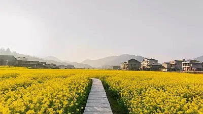 Металлическая передняя и задняя интегрированная портальная ось для радиоуправляемых краулеров Axial 1/30 SCX30 Wrangler/Ford Bronco/Chevrolet K10, запчасти для тюнинга
Металлическая передняя и задняя интегрированная портальная ось для радиоуправляемых краулеров Axial 1/30 SCX30 Wrangler/Ford Bronco/Chevrolet K10, запчасти для тюнинга