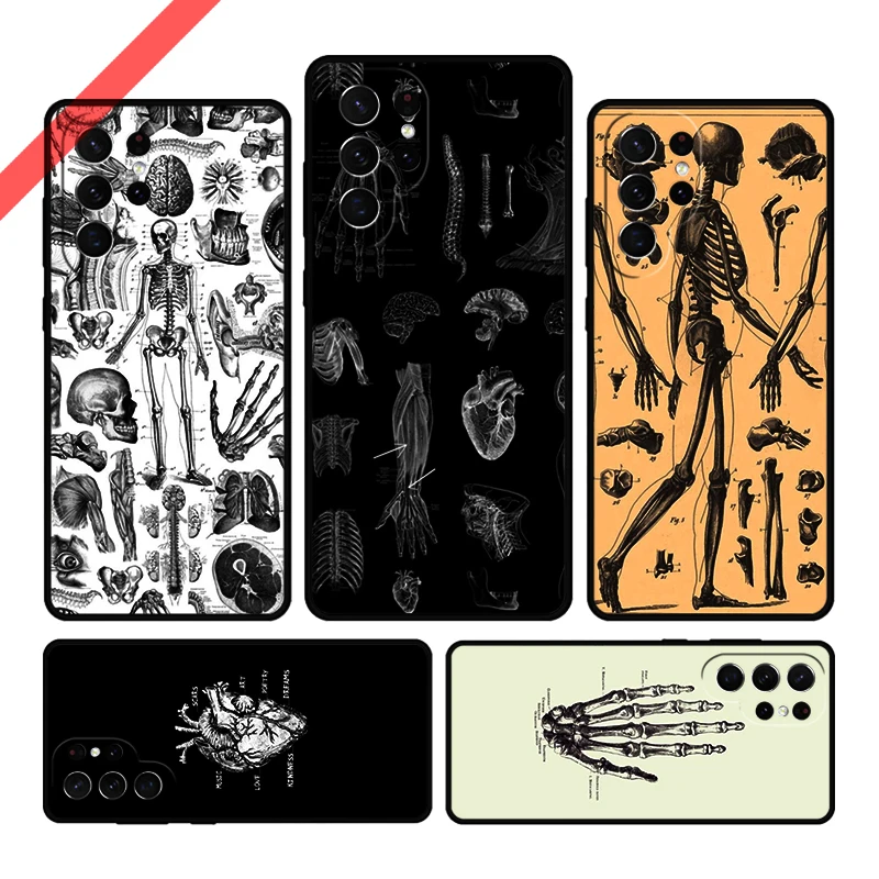 Чехол для телефона с анатомией человека для Samsung Galaxy S20 FE S21 S23 Plus S24 S25 S22 Ultra Coque Note 10 20 Note10 Cover Capa 
Чехол для телефона с анатомией человека для Samsung Galaxy S20 FE S21 S23 Plus S24 S25 S22 Ultra Coque Note 10 20 Note10 Cover Capa