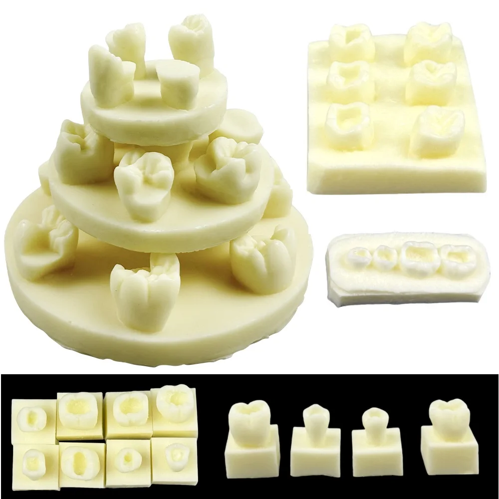 1 set Dental Resin Filling Practice Model Teeth Restoration Posterior Practise Cavity Resin Teeth Model Inlay Exercise Model
1 set Dental Resin Filling Practice Model Teeth Restoration Posterior Practise Cavity Resin Teeth Model Inlay Exercise Model