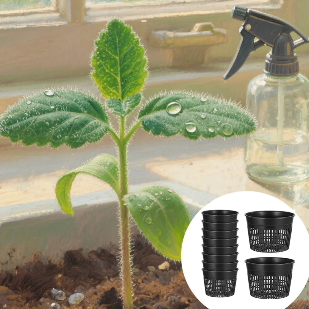 For Hydroponics Drainage Pots Flower Pot Indoor Gardening Setup Air Circulation Flower Pot Hydroponics Indoor Outdoor Gardening
For Hydroponics Drainage Pots Flower Pot Indoor Gardening Setup Air Circulation Flower Pot Hydroponics Indoor Outdoor Gardening