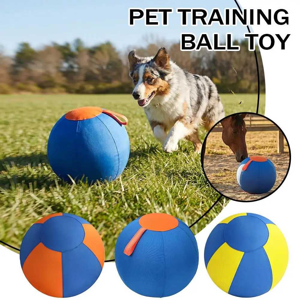 Dog Herding Ball Toy, Durable Tear-Resistant Pet Training Ball with Handle Cover, Interactive Exercise Play Toy for Dogs
Dog Herding Ball Toy, Durable Tear-Resistant Pet Training Ball with Handle Cover, Interactive Exercise Play Toy for Dogs