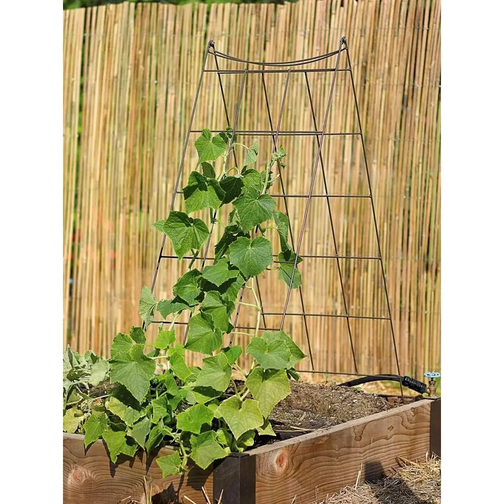 Metal Outdoor Trellis for Durable Garden Plant Support: Ideal for Climbing Vines and Vegetables
Metal Outdoor Trellis for Durable Garden Plant Support: Ideal for Climbing Vines and Vegetables