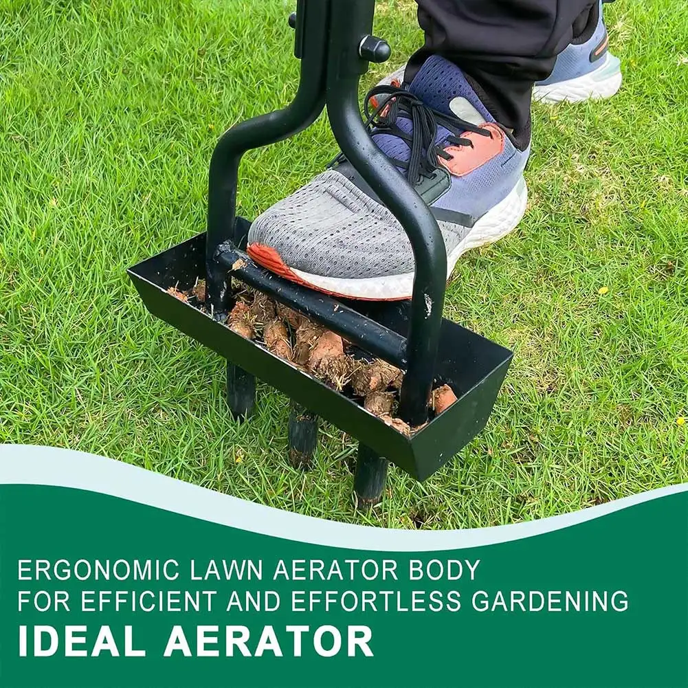 Manual Lawn Aerator Corer Plug Aerator 3 Tines Grass Aerating Tool for Gardening
Manual Lawn Aerator Corer Plug Aerator 3 Tines Grass Aerating Tool for Gardening