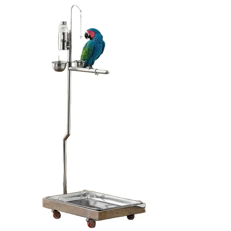 Parrot stand stainless steel double bird roosting stick floor bird large parrot stand
Parrot stand stainless steel double bird roosting stick floor bird large parrot stand