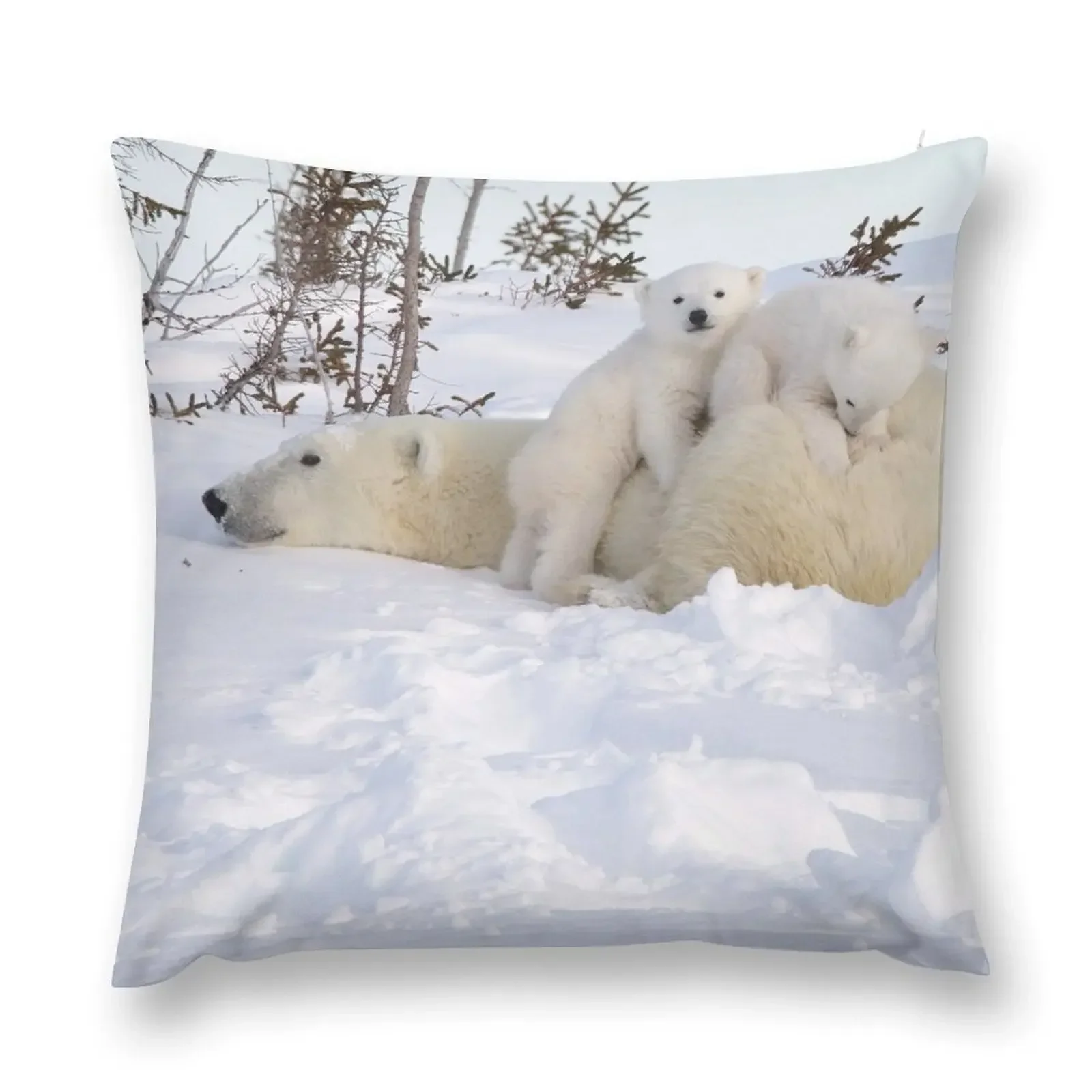 Polar bear cubs playing on Mom's back Throw Pillow Luxury Sofa Cushions Sitting Cushion pillow
Polar bear cubs playing on Mom's back Throw Pillow Luxury Sofa Cushions Sitting Cushion pillow