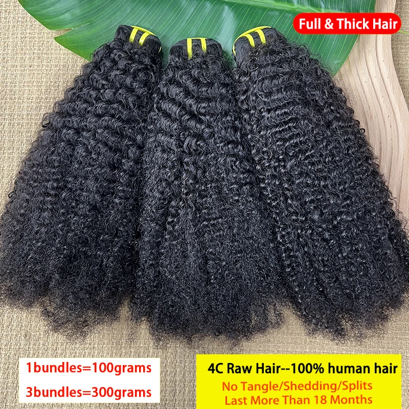 4C Afro Kinky Curly 100% Human Hair Double Weft Full Thick Unprocessed Raw Hair Bundles Curly Hair Extensions for Women 15A
4C Afro Kinky Curly 100% Human Hair Double Weft Full Thick Unprocessed Raw Hair Bundles Curly Hair Extensions for Women 15A