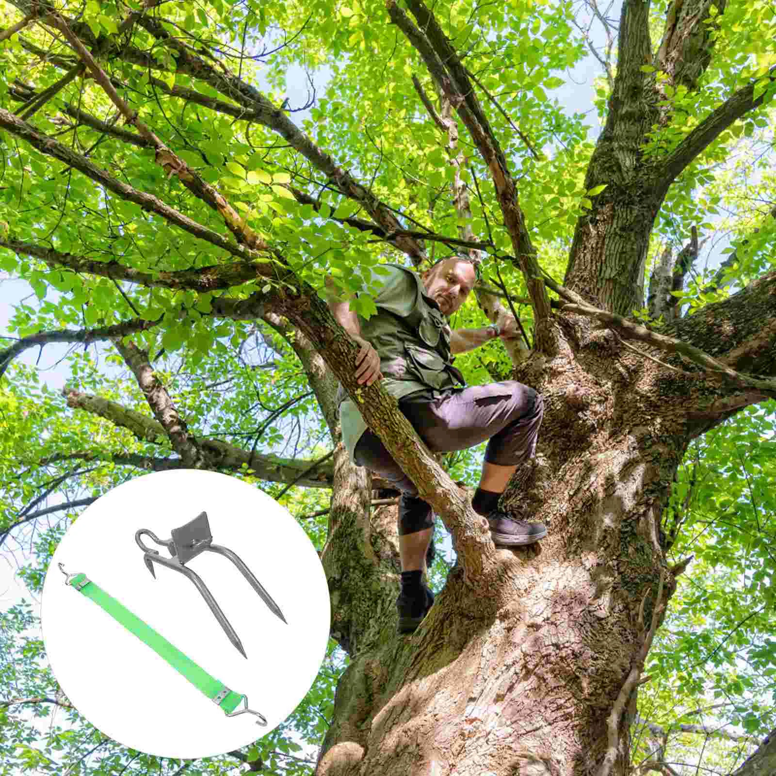 Шипы для обуви для скалолазания по дереву шипы кококосовый арбуз простой инструмент для сбора фруктов инструменты шест для ботинок оборудование для лестницы
Шипы для обуви для скалолазания по дереву шипы кококосовый арбуз простой инструмент для сбора фруктов инструменты шест для ботинок оборудование для лестницы