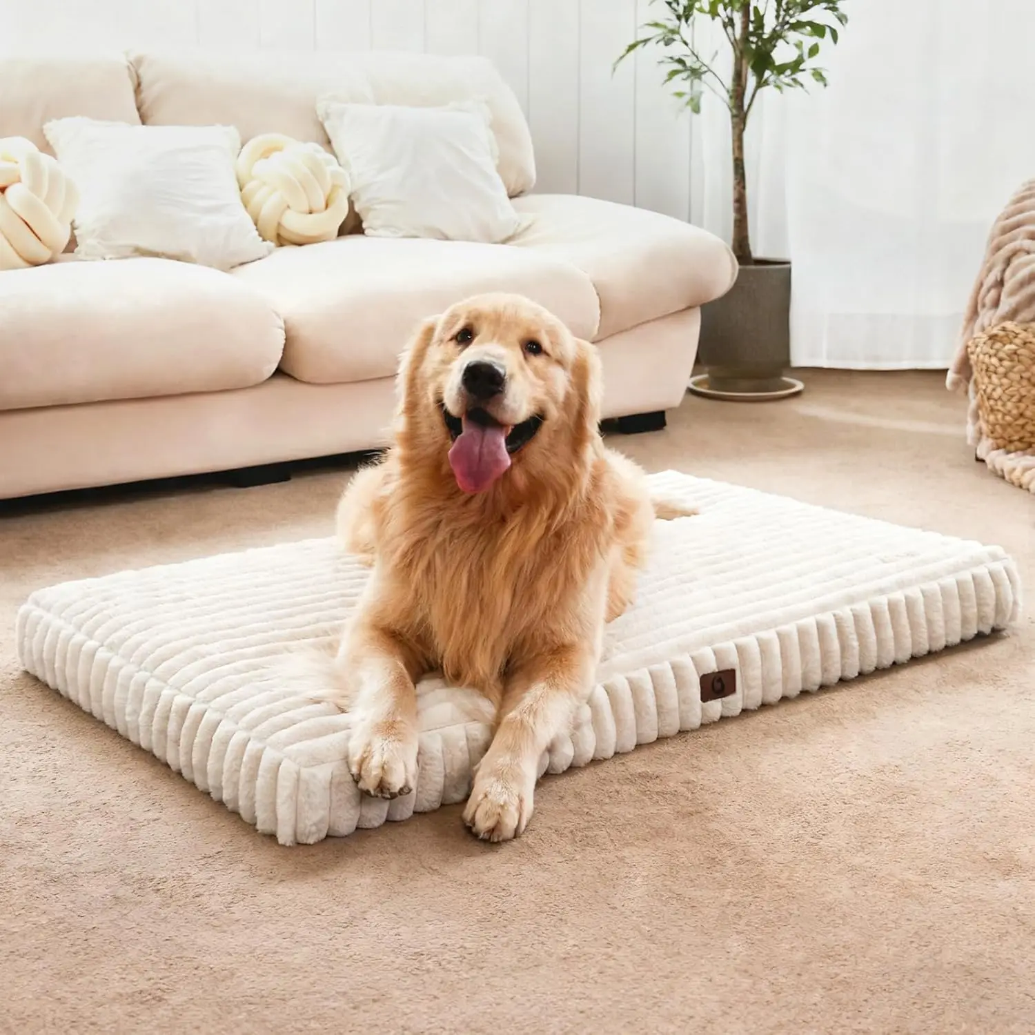 Orthopedic Dog Bed for Extra Large Dogs, Waterproof Lining, Soft Plush & Egg Crate Foam, Machine Washable with Removable Cover
Orthopedic Dog Bed for Extra Large Dogs, Waterproof Lining, Soft Plush & Egg Crate Foam, Machine Washable with Removable Cover