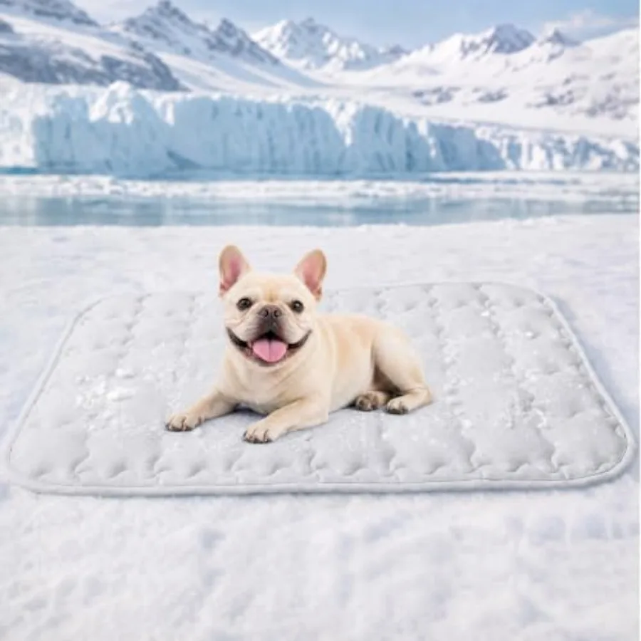Premium Dog Cooling Mat Non-Slip Self-Cooling Pad for Small Pet Cat Indoor Portable Kennel Puppy Bed for Summer Crate
Premium Dog Cooling Mat Non-Slip Self-Cooling Pad for Small Pet Cat Indoor Portable Kennel Puppy Bed for Summer Crate