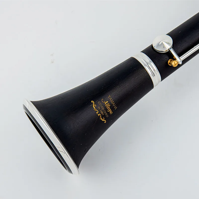 Japan Bb Clarinet 17 Keys Bakelite Wooden Professional Woodwind Instrument Tenor Clarinet With Box Reed Musical Instrument Parts
Japan Bb Clarinet 17 Keys Bakelite Wooden Professional Woodwind Instrument Tenor Clarinet With Box Reed Musical Instrument Parts