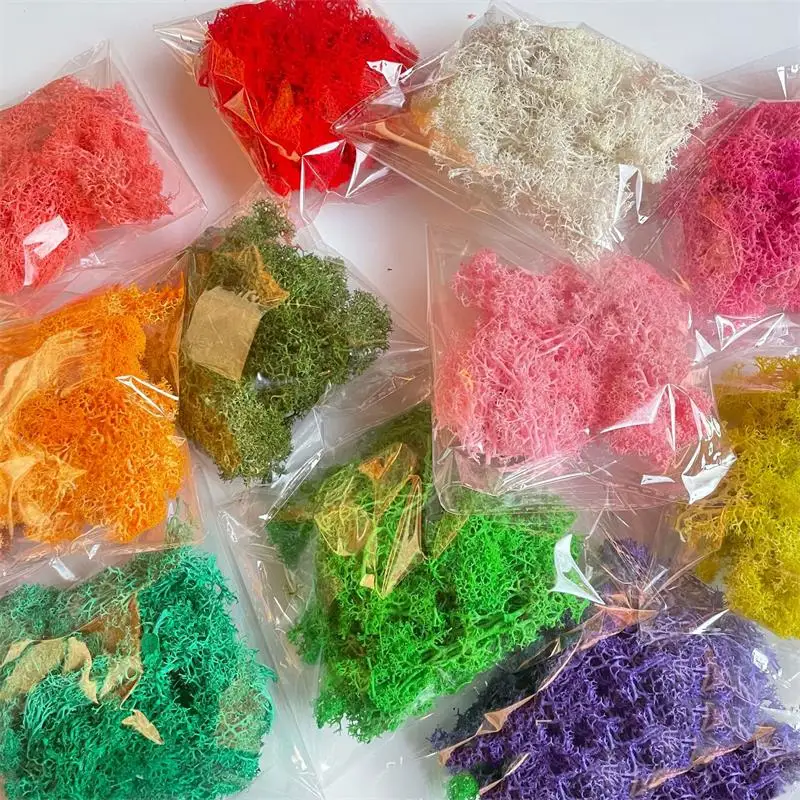 20-200g Artificial Green Plants Polyester Moss Grass Mini Landscape Fake Flower DIY Crafts Home Living Room Garden Decoration
20-200g Artificial Green Plants Polyester Moss Grass Mini Landscape Fake Flower DIY Crafts Home Living Room Garden Decoration