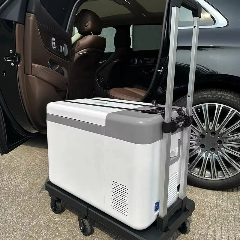 minus 86 degree mini car refrigerator portable quick-freezing refrigerator
minus 86 degree mini car refrigerator portable quick-freezing refrigerator