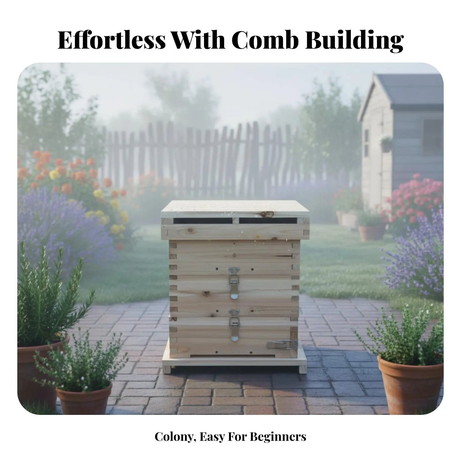 Lattice Beehive Set Natural Comb Building Fir Wood Bee Box Wooden Beehive Kit Breathable Beekeeping Beginner Kit for Backyard
Lattice Beehive Set Natural Comb Building Fir Wood Bee Box Wooden Beehive Kit Breathable Beekeeping Beginner Kit for Backyard