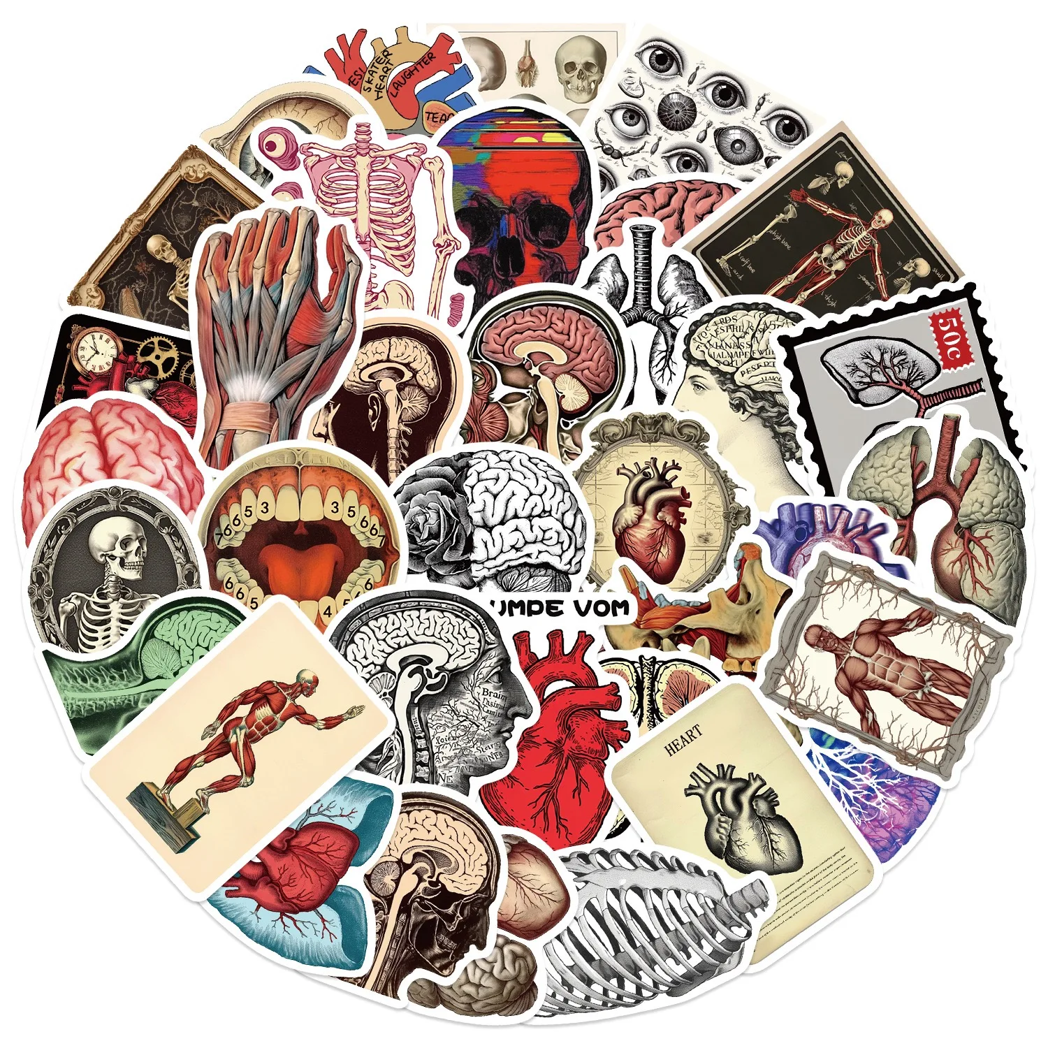 10/50pcs Retro Human Organ Medical Anatomy Stickers Laptop Diary Bottle Phone Children Gift DIY Graffiti Waterproof Stickers
10/50pcs Retro Human Organ Medical Anatomy Stickers Laptop Diary Bottle Phone Children Gift DIY Graffiti Waterproof Stickers