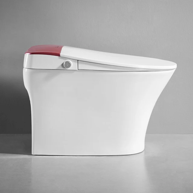 DUTRIEUXLady Clean Интеллектуальный Умный Унитаз Керамический Электрический Унитаз Биде Умный Туалет
DUTRIEUXLady Clean Интеллектуальный Умный Унитаз Керамический Электрический Унитаз Биде Умный Туалет