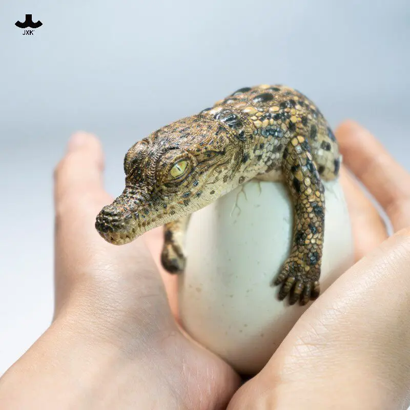 Jxk Hatching Model Simulated Animal Collectible Figurine Resin Statue Desktop Ornament Car Decoration Gift For Adult
Jxk Hatching Model Simulated Animal Collectible Figurine Resin Statue Desktop Ornament Car Decoration Gift For Adult