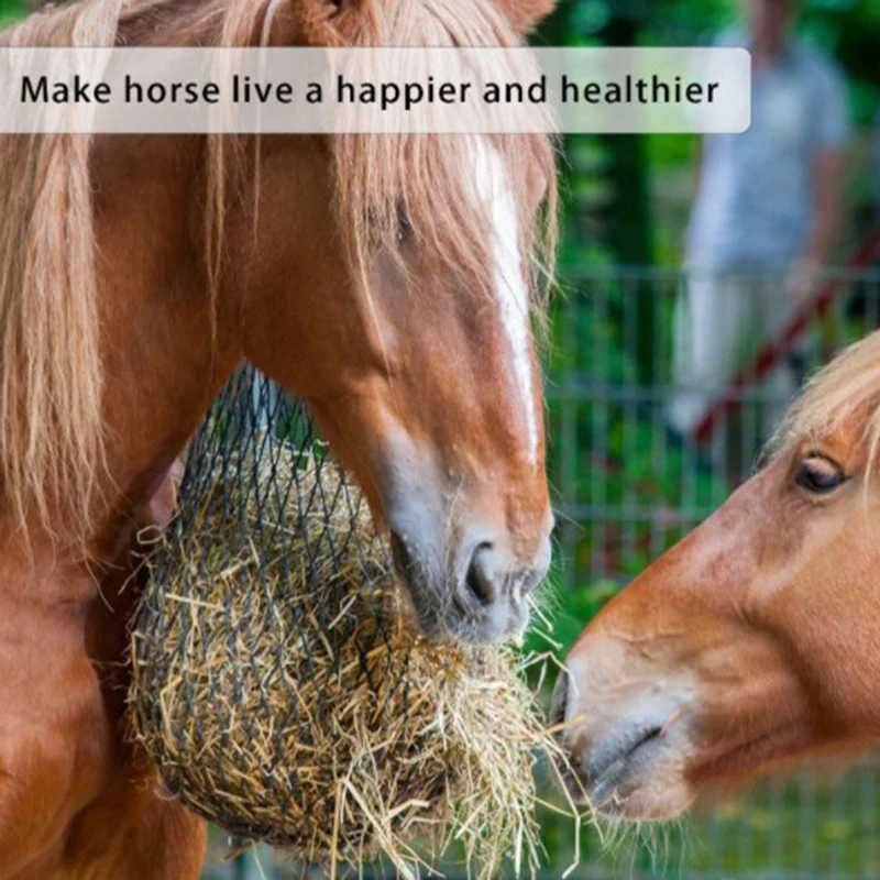 New Haylage Net Durable Horse Care Products Small Holed Hay Net Haynet Equipment Slow Feed Hay Feeder Net Bags For Horse
New Haylage Net Durable Horse Care Products Small Holed Hay Net Haynet Equipment Slow Feed Hay Feeder Net Bags For Horse