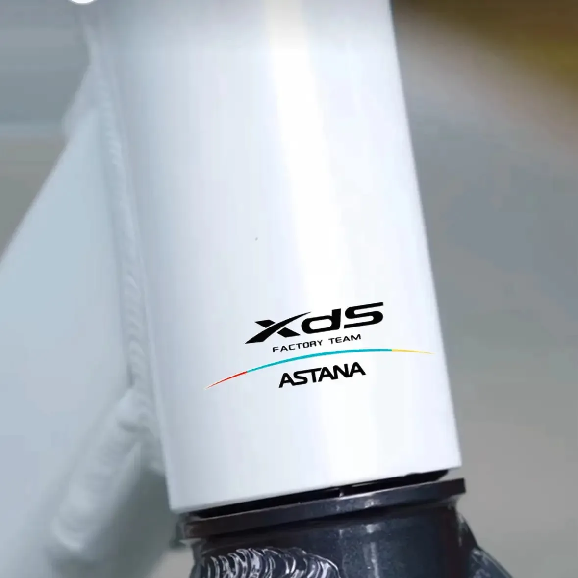 4PCS/SET Cycling Team Style Waterproof Stickers Black/White Decals for Bike Frame Helmet Cycling Decor
4PCS/SET Cycling Team Style Waterproof Stickers Black/White Decals for Bike Frame Helmet Cycling Decor