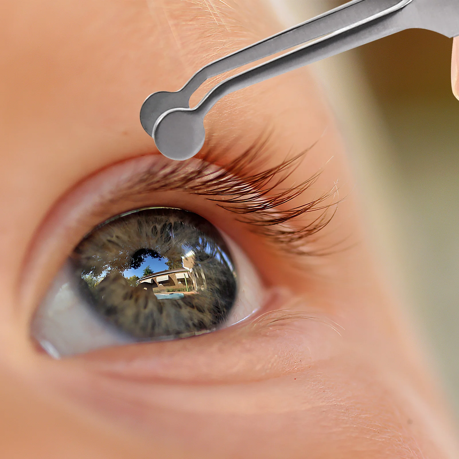 Stainless Steel Eyelid Tweezers Anti-Skid Handle Round Tip For Meibomian Gland Expression Eyelid Compressor Forceps Laboratory
Stainless Steel Eyelid Tweezers Anti-Skid Handle Round Tip For Meibomian Gland Expression Eyelid Compressor Forceps Laboratory