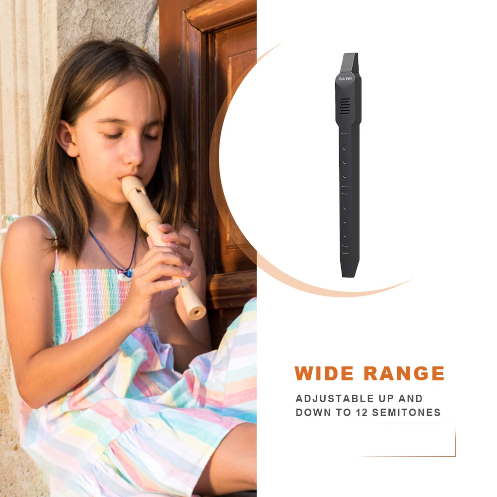 Pocket Saxophone 10 Timbres Mini Digital Saxophone Built-in Speaker Electronic Wind Instrument Musical Instrument
Pocket Saxophone 10 Timbres Mini Digital Saxophone Built-in Speaker Electronic Wind Instrument Musical Instrument