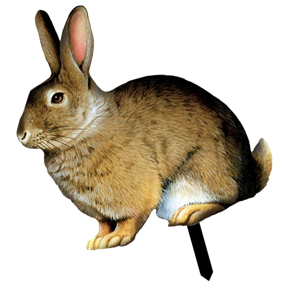 Acrylic Garden Stake Decorative Inserts Outdoor Yard Sign Bunny Lawn Decoration Premium Material Safe Easter
Acrylic Garden Stake Decorative Inserts Outdoor Yard Sign Bunny Lawn Decoration Premium Material Safe Easter