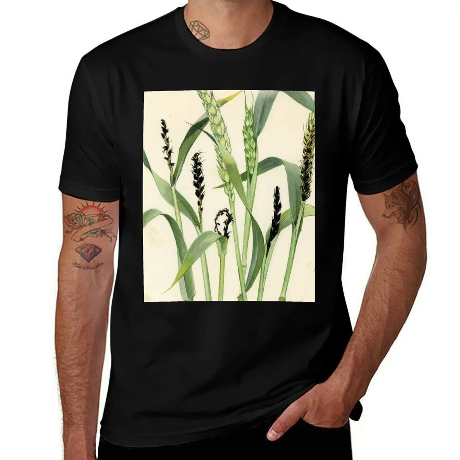 Loose Smut of Wheat T-Shirt man graphic t shirt man tshirt men t shirt cotton 100% T-shirt
Loose Smut of Wheat T-Shirt man graphic t shirt man tshirt men t shirt cotton 100% T-shirt
