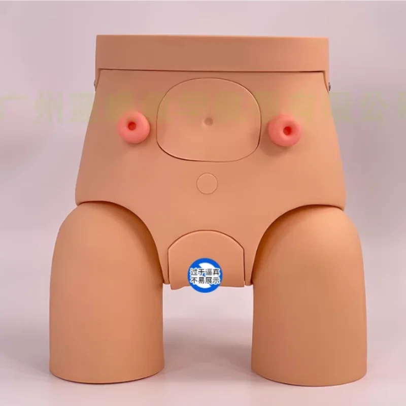 Модель мужского и женского катетеризации Модель катетеризации Медицинская практика катетеризации Модель медсестры Модель клизмы
Модель мужского и женского катетеризации Модель катетеризации Медицинская практика катетеризации Модель медсестры Модель клизмы