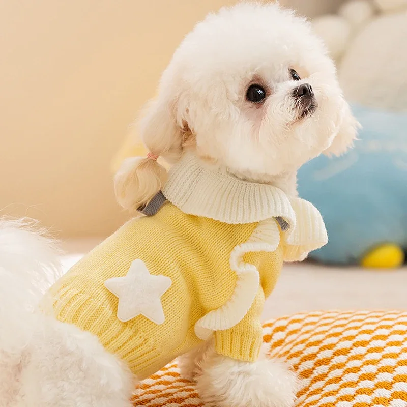 Luxury Dog Knitted Sweater Pet Dog Clothes Small Dogs Winter Warm Girls Clothing Cat Sweaters Chihuahua Bichon Yorkie Puppy Coat
Luxury Dog Knitted Sweater Pet Dog Clothes Small Dogs Winter Warm Girls Clothing Cat Sweaters Chihuahua Bichon Yorkie Puppy Coat