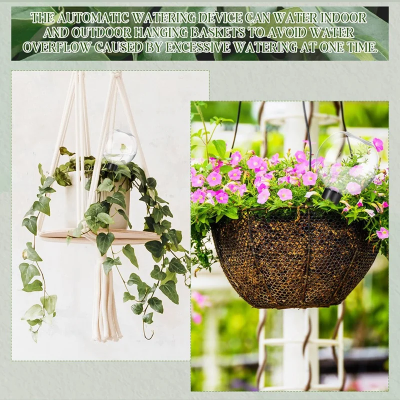 Automatic Plant Watering Plant Waterer Watering Bulbs For Indoor Plants Drip Irrigation
Automatic Plant Watering Plant Waterer Watering Bulbs For Indoor Plants Drip Irrigation