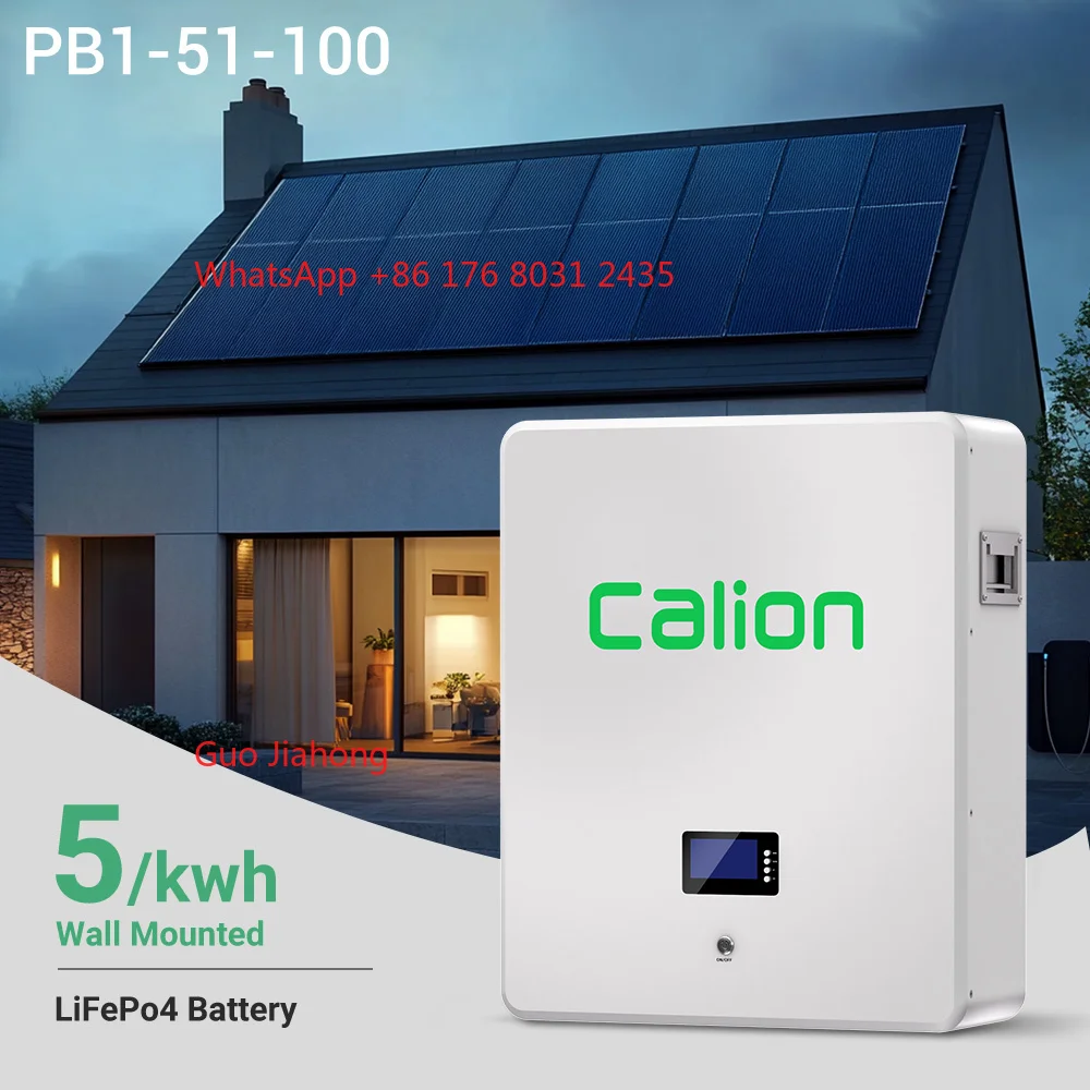 CALION 5kw Energy Storage Battery 5/10kwh Solar System Battery 48V/51.2V Wall Mounted 100/200 LifePo4 Battery
CALION 5kw Energy Storage Battery 5/10kwh Solar System Battery 48V/51.2V Wall Mounted 100/200 LifePo4 Battery