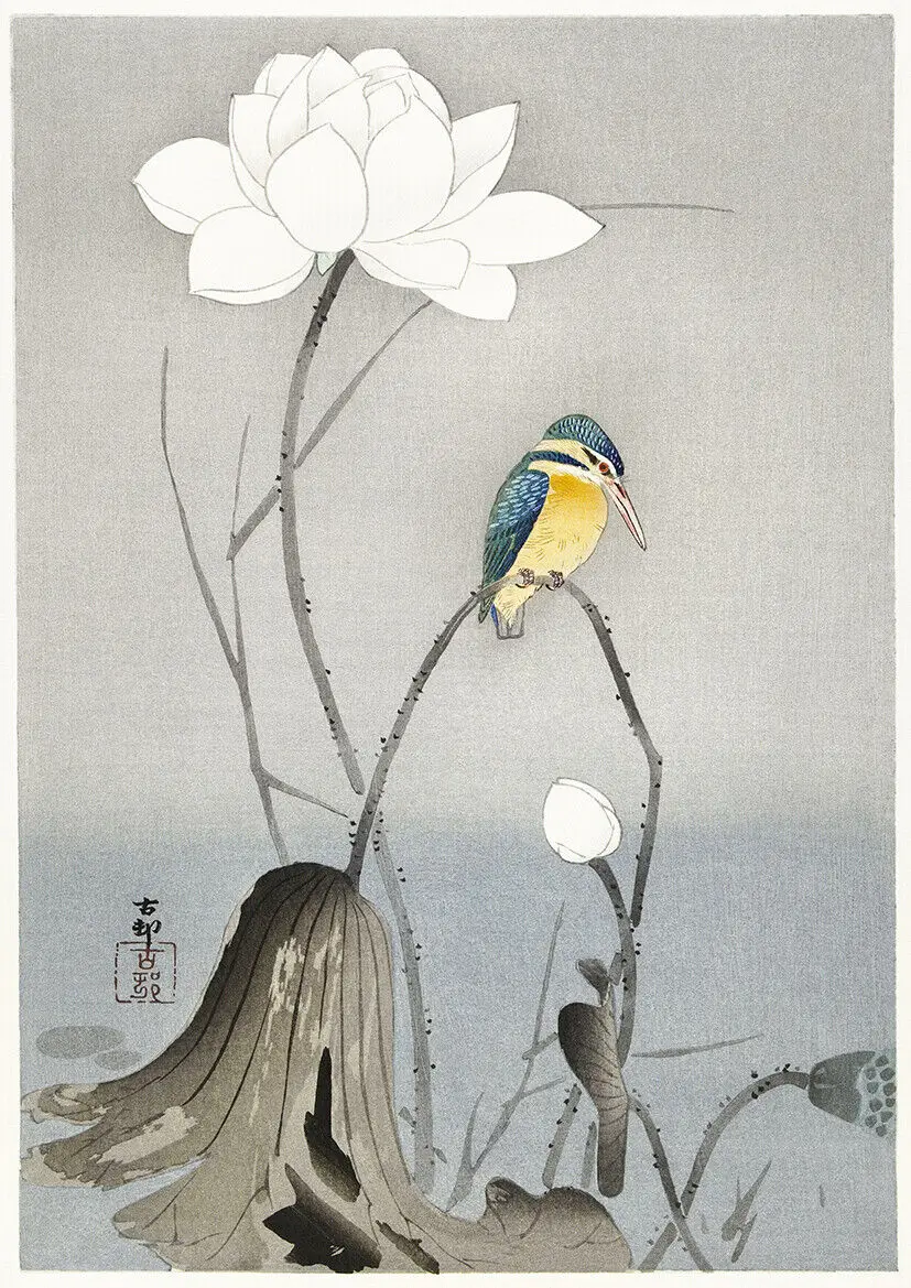 Kingfisher with Lotus Flower, Art Picture Print Silk Poster, Home Wall Decor
Kingfisher with Lotus Flower, Art Picture Print Silk Poster, Home Wall Decor